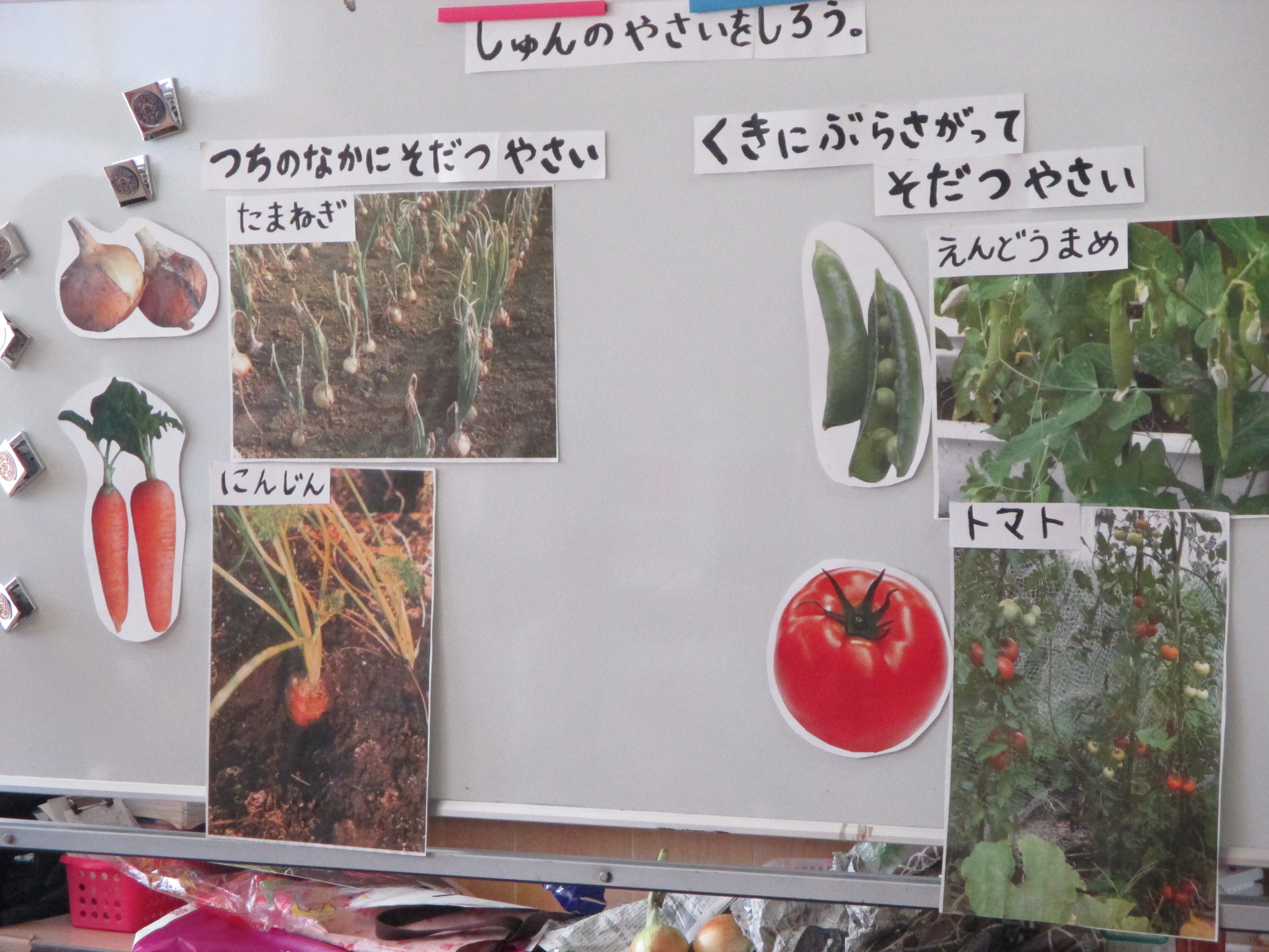 園ちょこ日記 大阪国際 大和田幼稚園 園ちょこ日記 大阪国際 大和田幼稚園